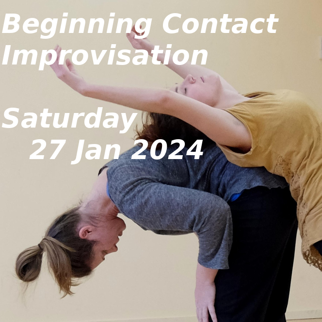Enjoy dance with us and learn to dance contact improvisation